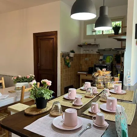 Daire Lisetta's House